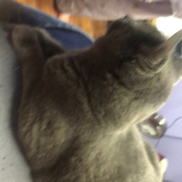 Barfeater - Picture 2 of 3